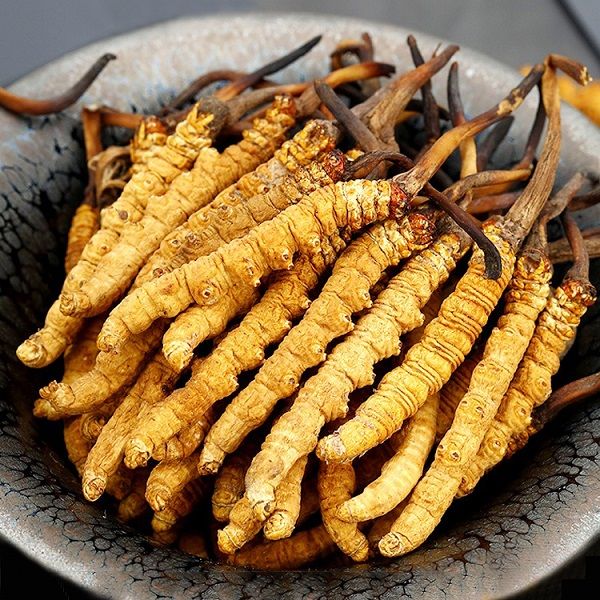 Dong Trung Ha Thao Nguyen Con Tu Nhien 775 Dong Trung Ha Thao Nguyen Con Tu Nhien 775