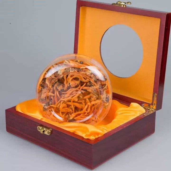 Dong Trung Dong Trung