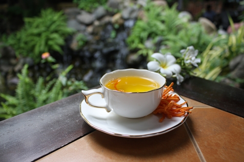 Đông trùng hạ thảo Ánh Dương đáp ứng nhu cầu của khách hàng