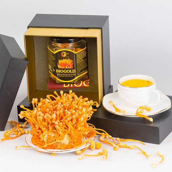 Tra Dong Rrung Ha Thao 783 Tra Dong Rrung Ha Thao 783